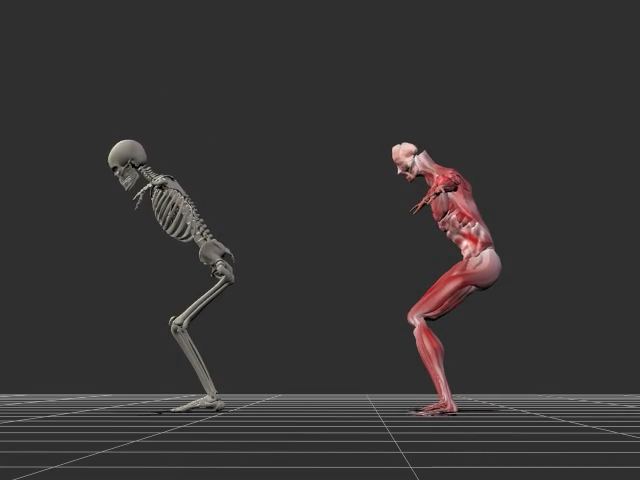 A client's squat doesn't have to match the textbook, it has to match their hips. The industry printed one 'correct form' that fits nobody