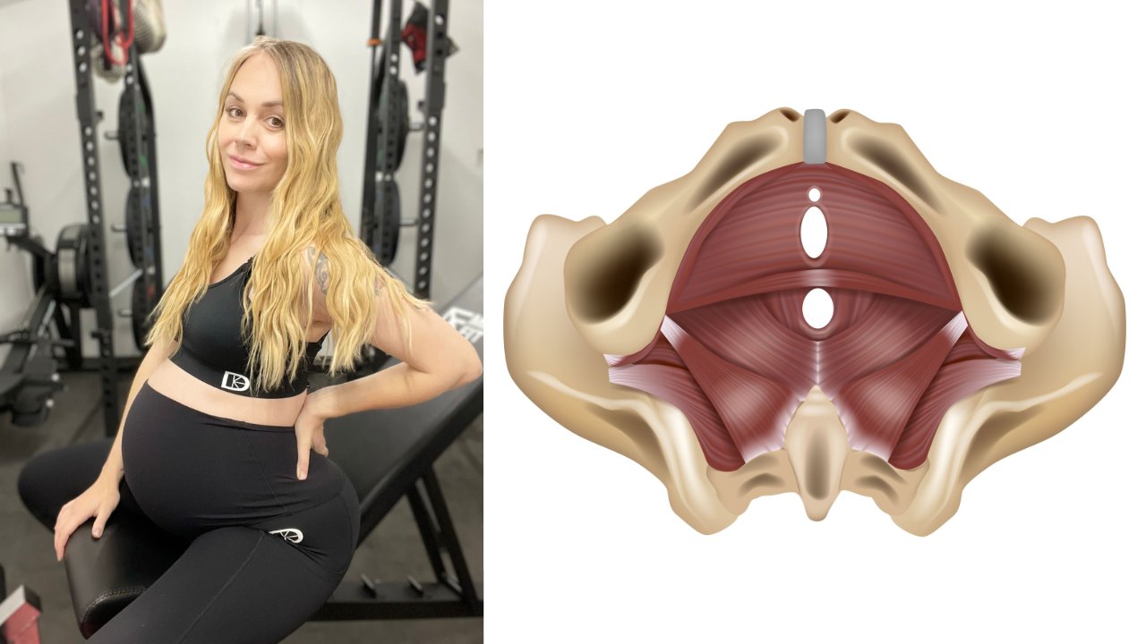 Your Level 3 mentioned the pelvic floor once. Your clients noticed.